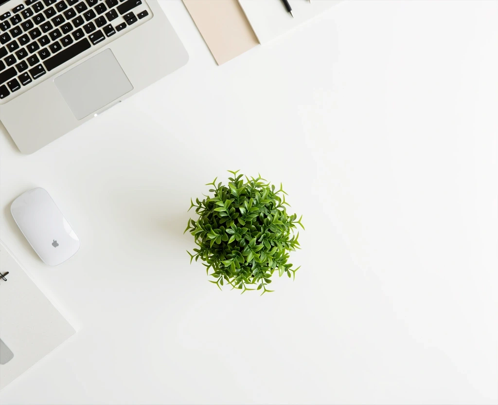 Corewellnesspathay Office